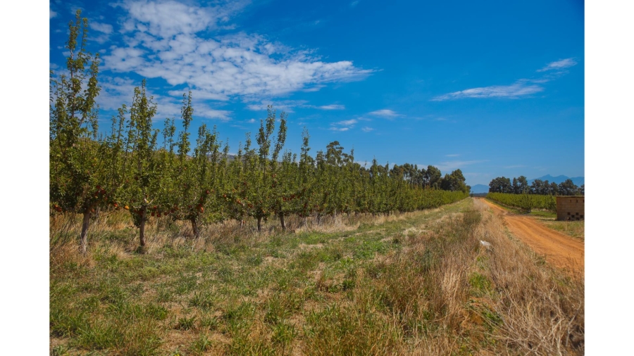 Commercial Property for Sale in Wolseley Western Cape